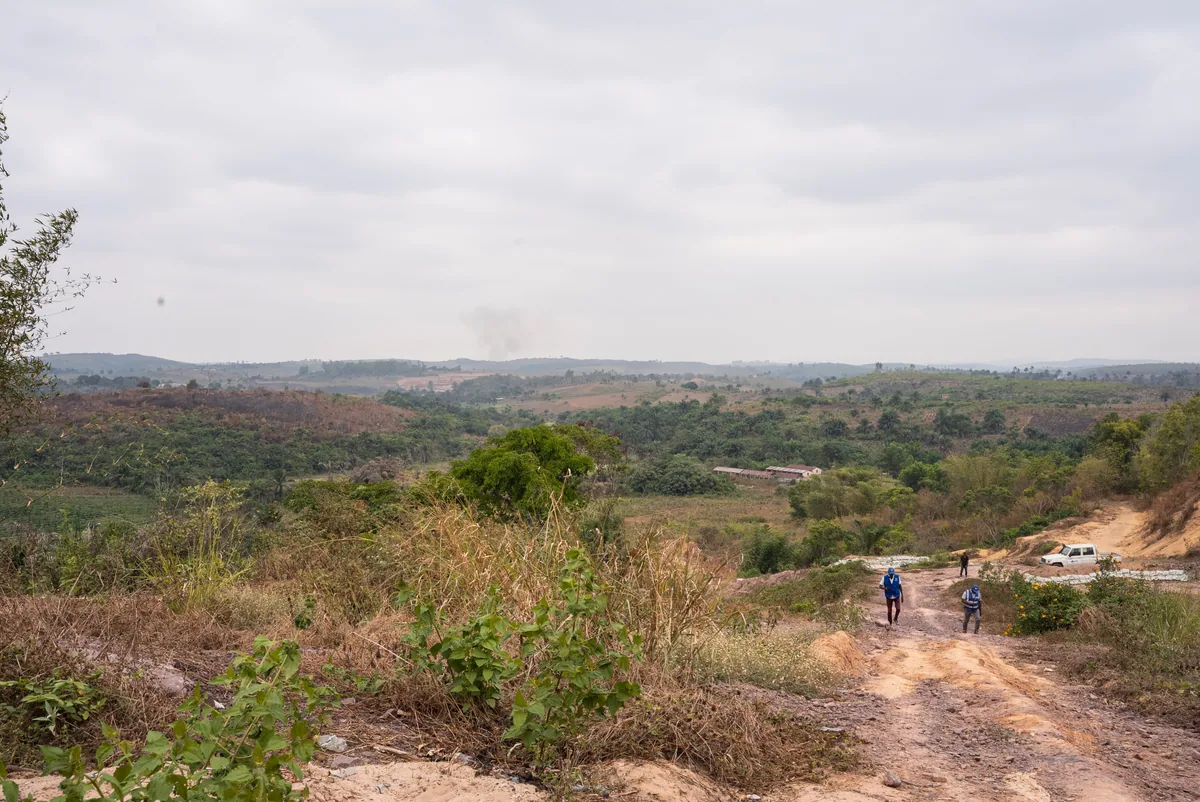 Collines et végétation le long du parcours routier